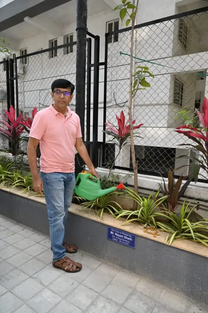 Tree Plant 6